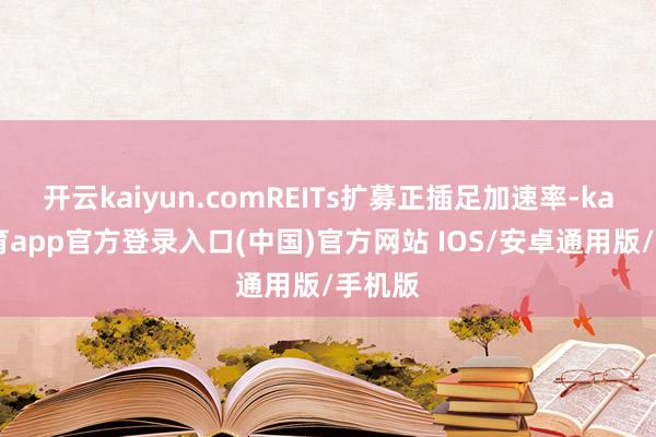开云kaiyun.comREITs扩募正插足加速率-kai云体育app官方登录入口(中国)官方网站 IOS/安卓通用版/手机版