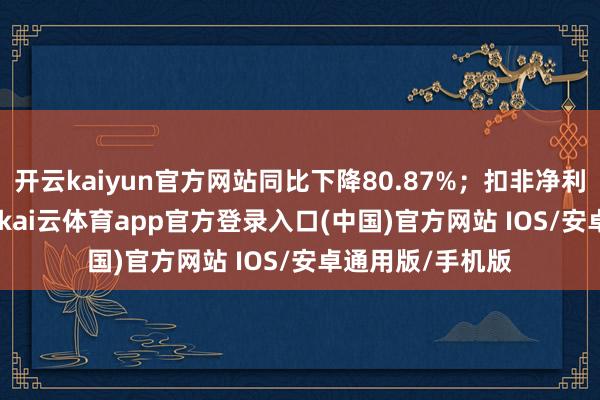 开云kaiyun官方网站同比下降80.87%；扣非净利润501.91万元-kai云体育app官方登录入口(中国)官方网站 IOS/安卓通用版/手机版