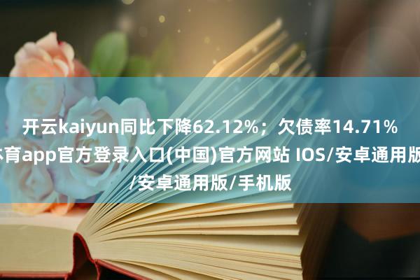开云kaiyun同比下降62.12%；欠债率14.71%-kai云体育app官方登录入口(中国)官方网站 IOS/安卓通用版/手机版