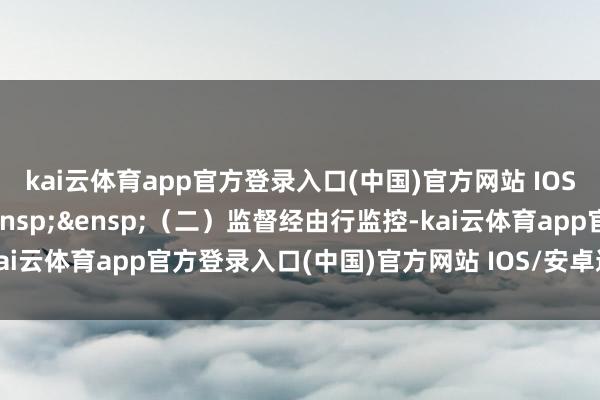 kai云体育app官方登录入口(中国)官方网站 IOS/安卓通用版/手机版&ensp;&ensp;（二）监督经由行监控-kai云体育app官方登录入口(中国)官方网站 IOS/安卓通用版/手机版
