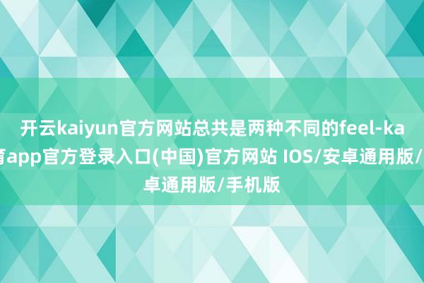开云kaiyun官方网站总共是两种不同的feel-kai云体育app官方登录入口(中国)官方网站 IOS/安卓通用版/手机版
