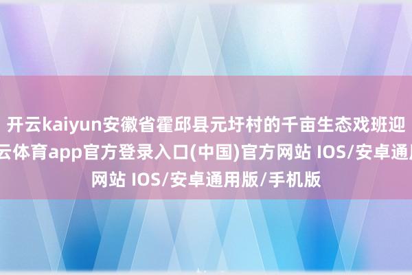 开云kaiyun安徽省霍邱县元圩村的千亩生态戏班迎来丰充-kai云体育app官方登录入口(中国)官方网站 IOS/安卓通用版/手机版